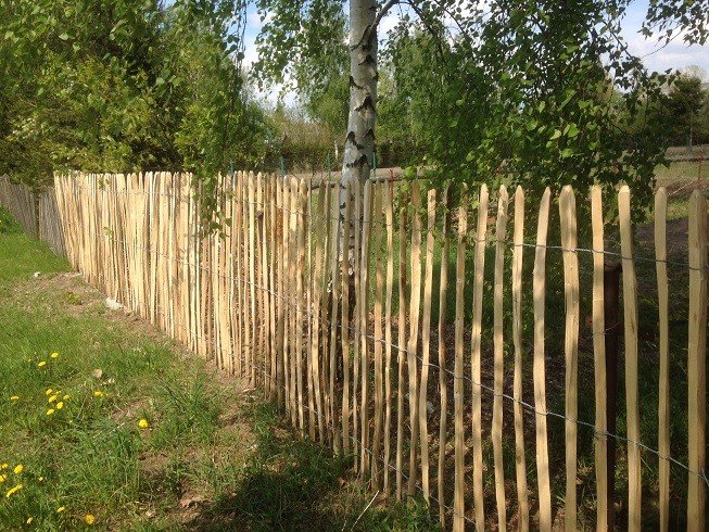 Ganivelle en noisetier H.1 x L.5 m – Image 1