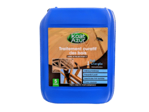 Traitement insecticide pour bois 5L